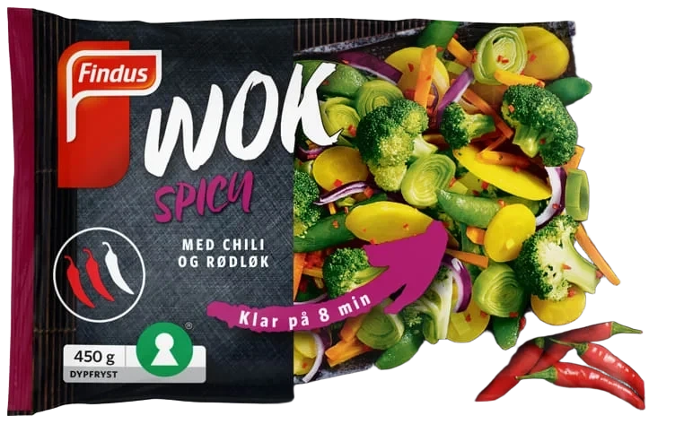 Wok Spicy 10x450g