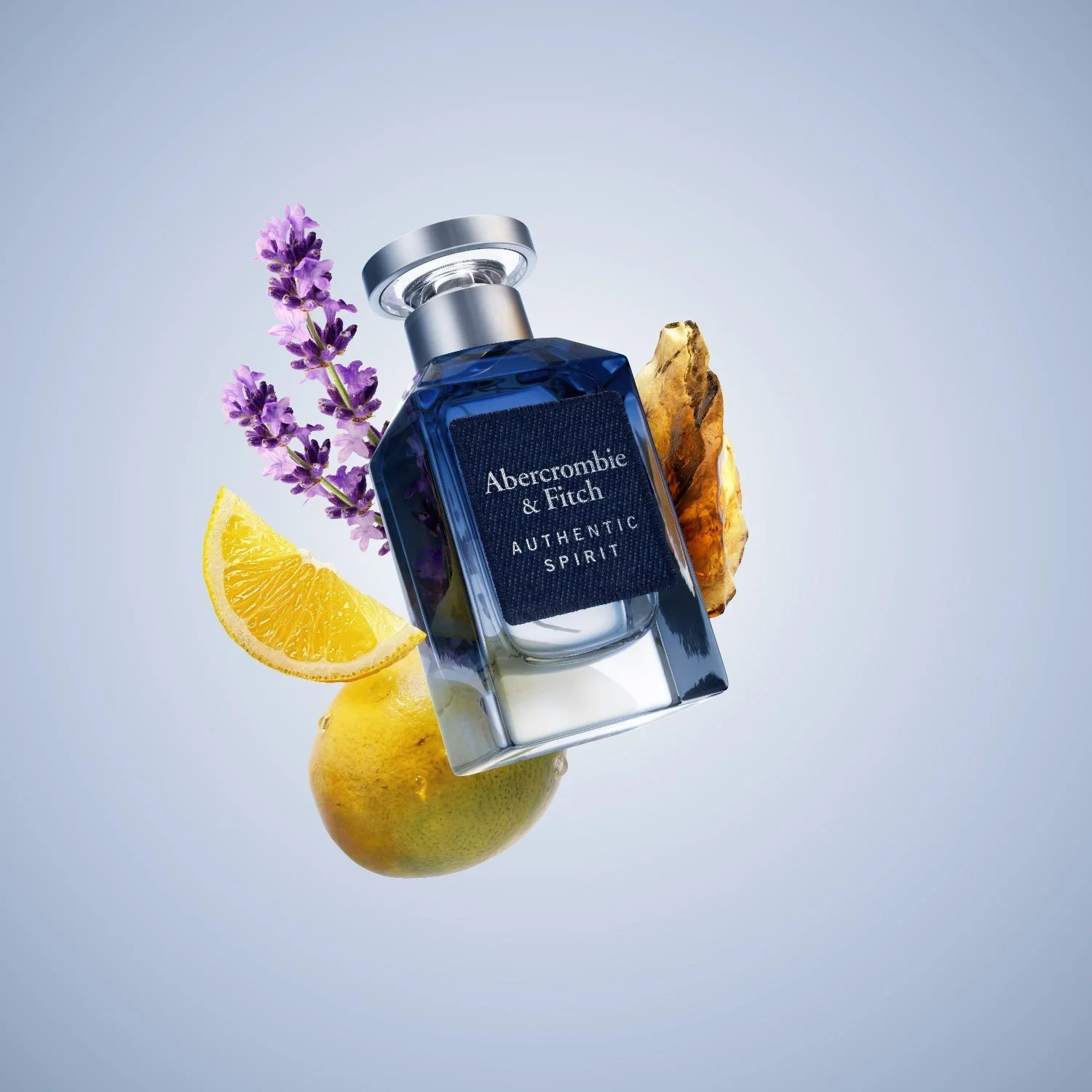 Abercrombie & Fitch Authentic Spirit Man