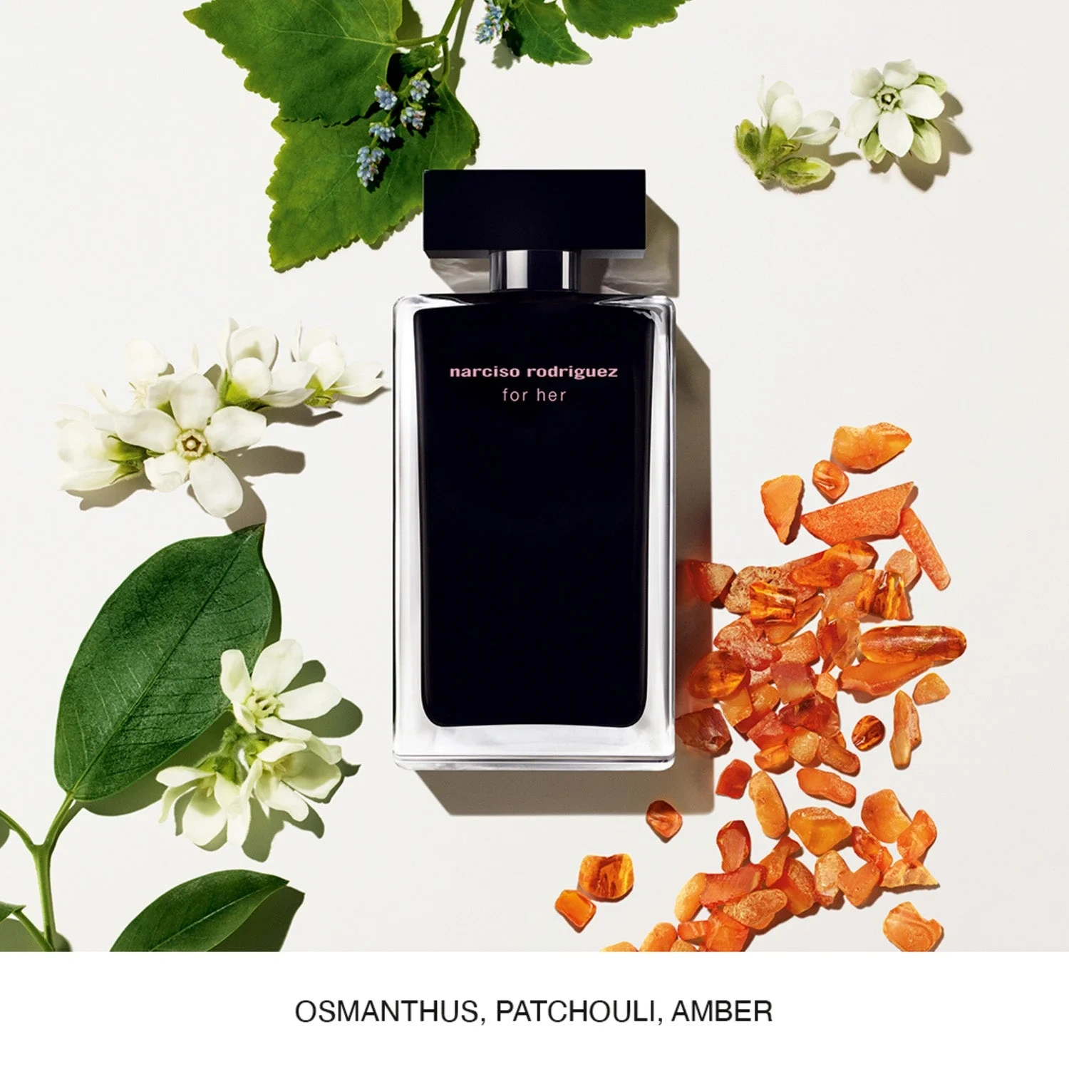 Narciso Rodriguez For Her
