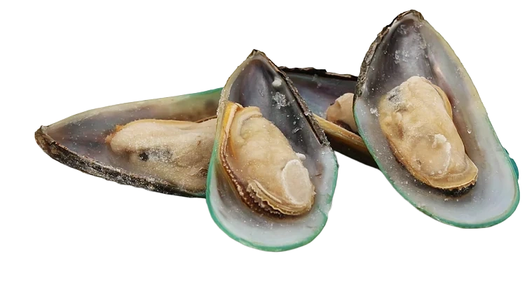FIRST SEAFOOD AS Grønnskjell Iqf, Halvskjell, 30-45 Pr kg