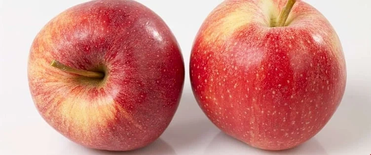 Epler import royal gala  kg