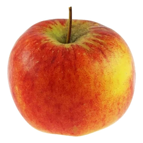 Äpple Rubinola Klass 1