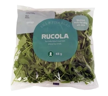 Rucola