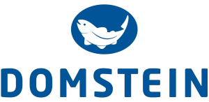 Domstein