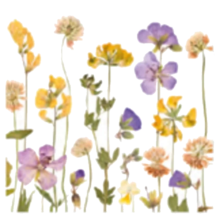 Serviett Sommerblomster 20stk Unik