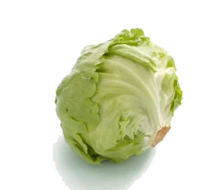 Isbergsalat stykk