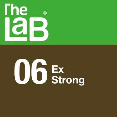 The Lab 06 Ex Strong