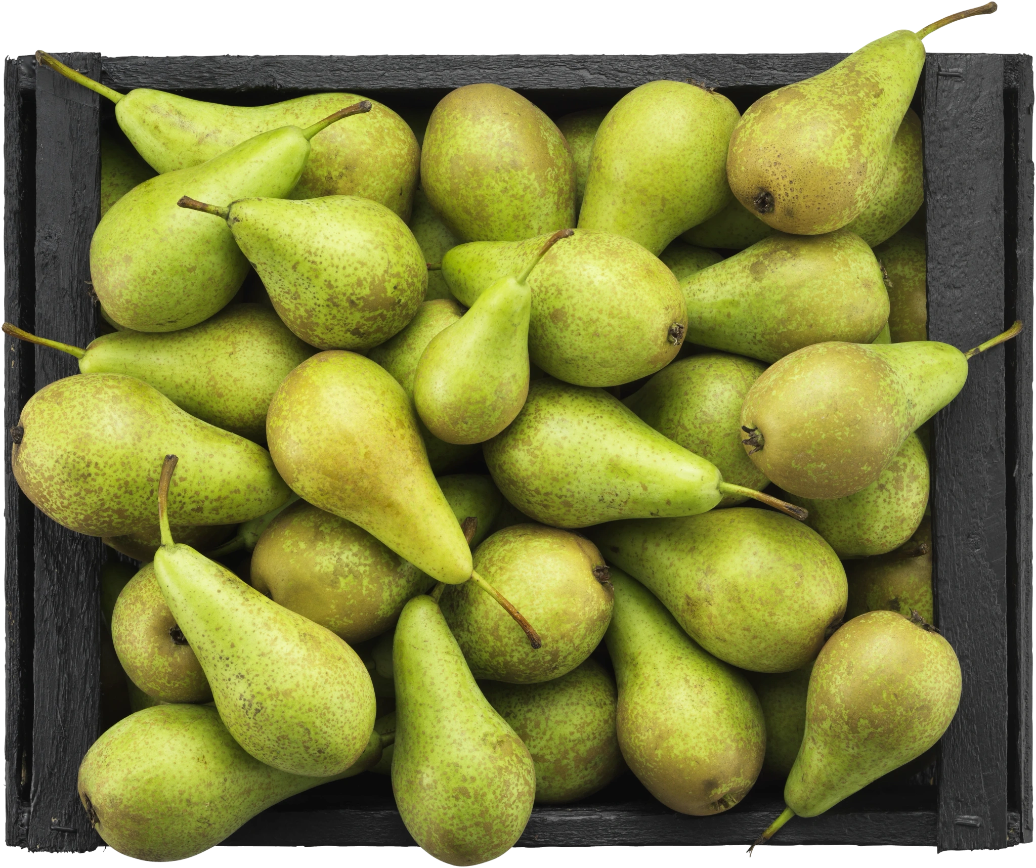 Päron
