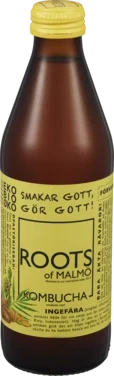 Kombucha Ingefær