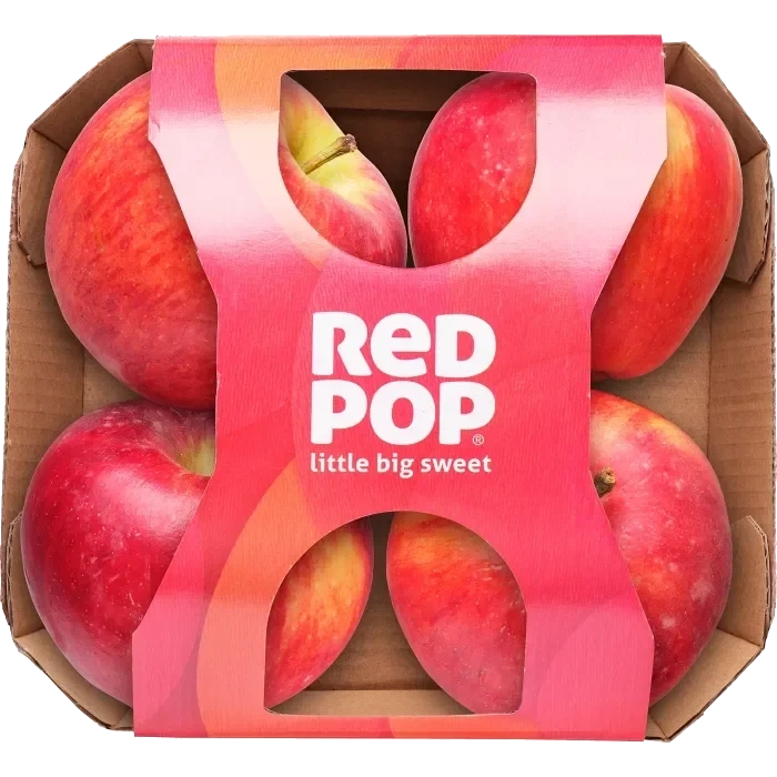Äpple RedPop 4p Klass 1