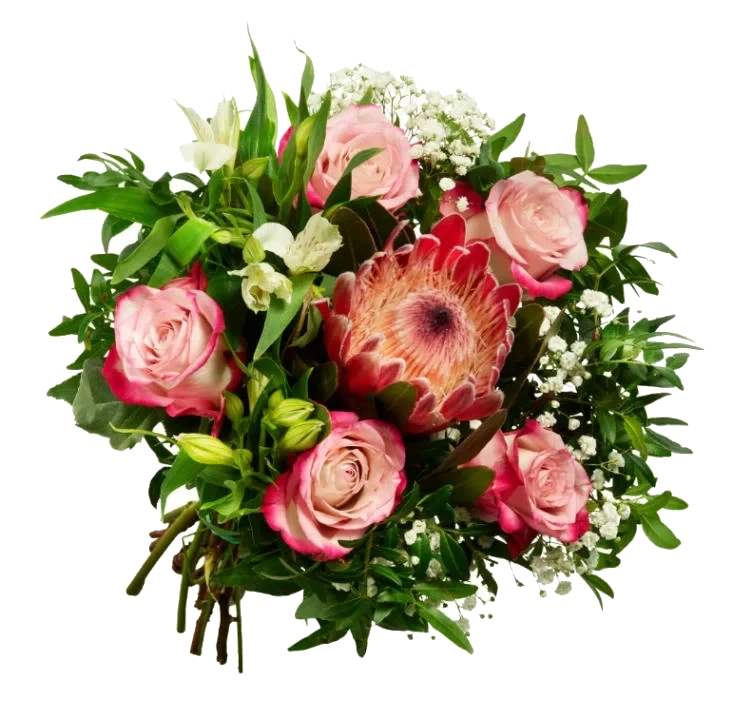 Gavebukett Protea Håndbundet Blomstermiks