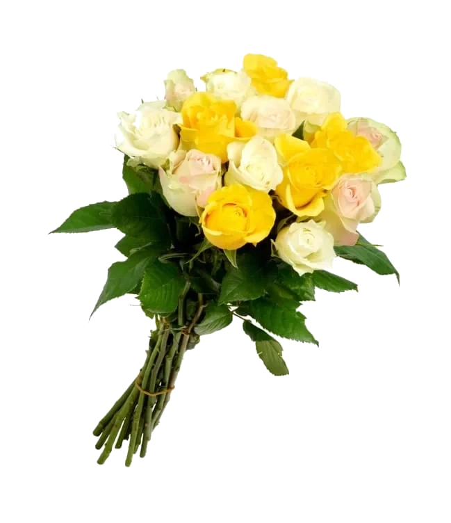 Roser Mix 15pk 45cm