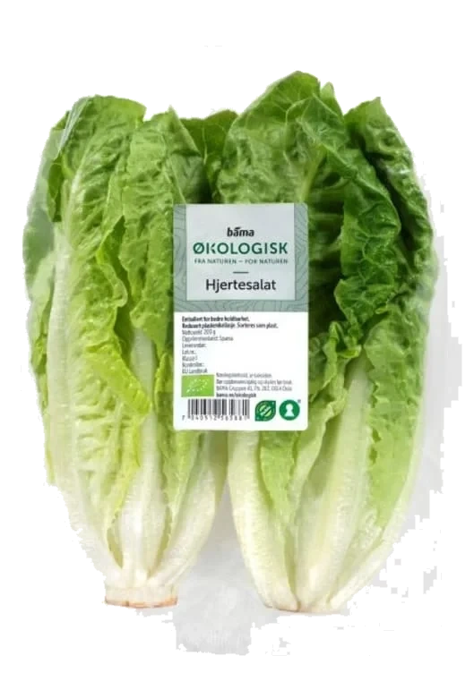 Hjertesalat 2pk Økologisk