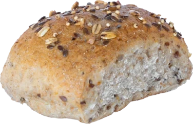 Svalbardbriks