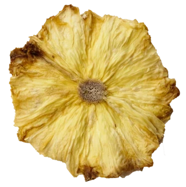 Taptails Garnityr Tørket Ananashjul 500g