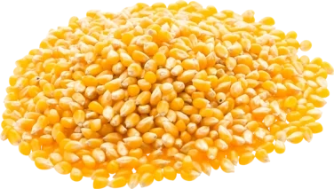 Natais Popcornmajs Butterfly 46+ 10kg