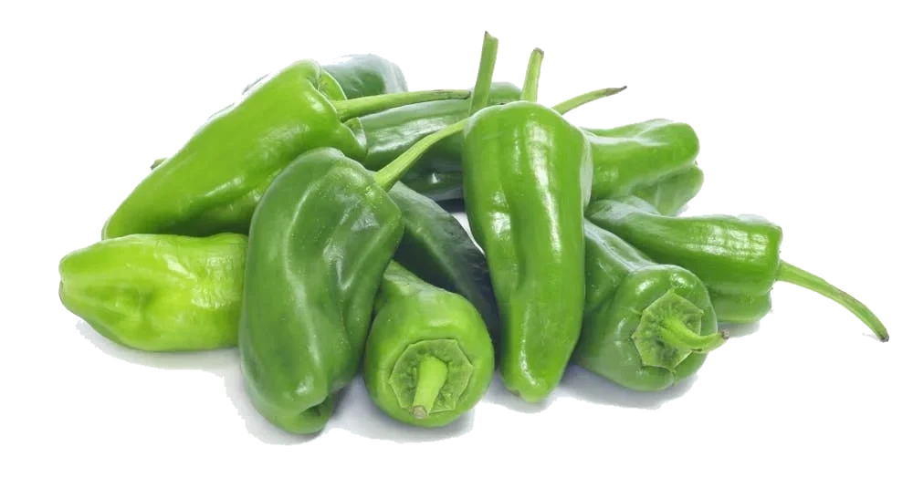 Paprika Padron