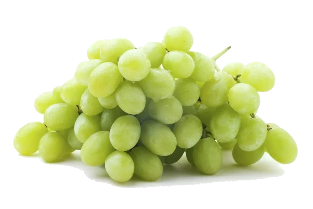 Druer Grønne Stenfrie Kurv