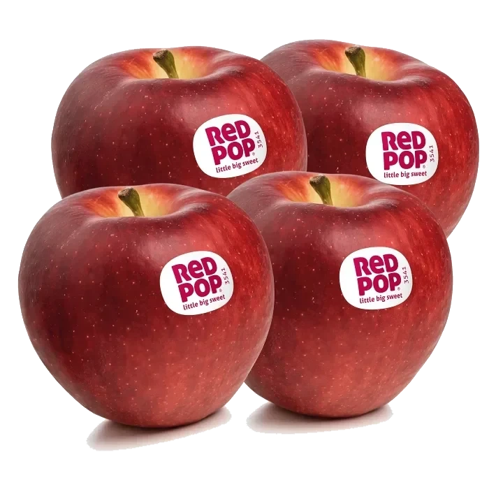 Äpple RedPop 4-p Klass 1