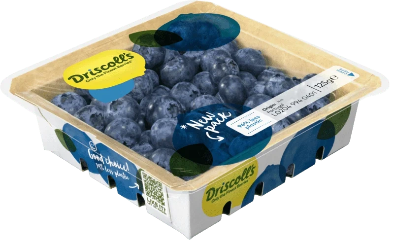 Blåbær 125g