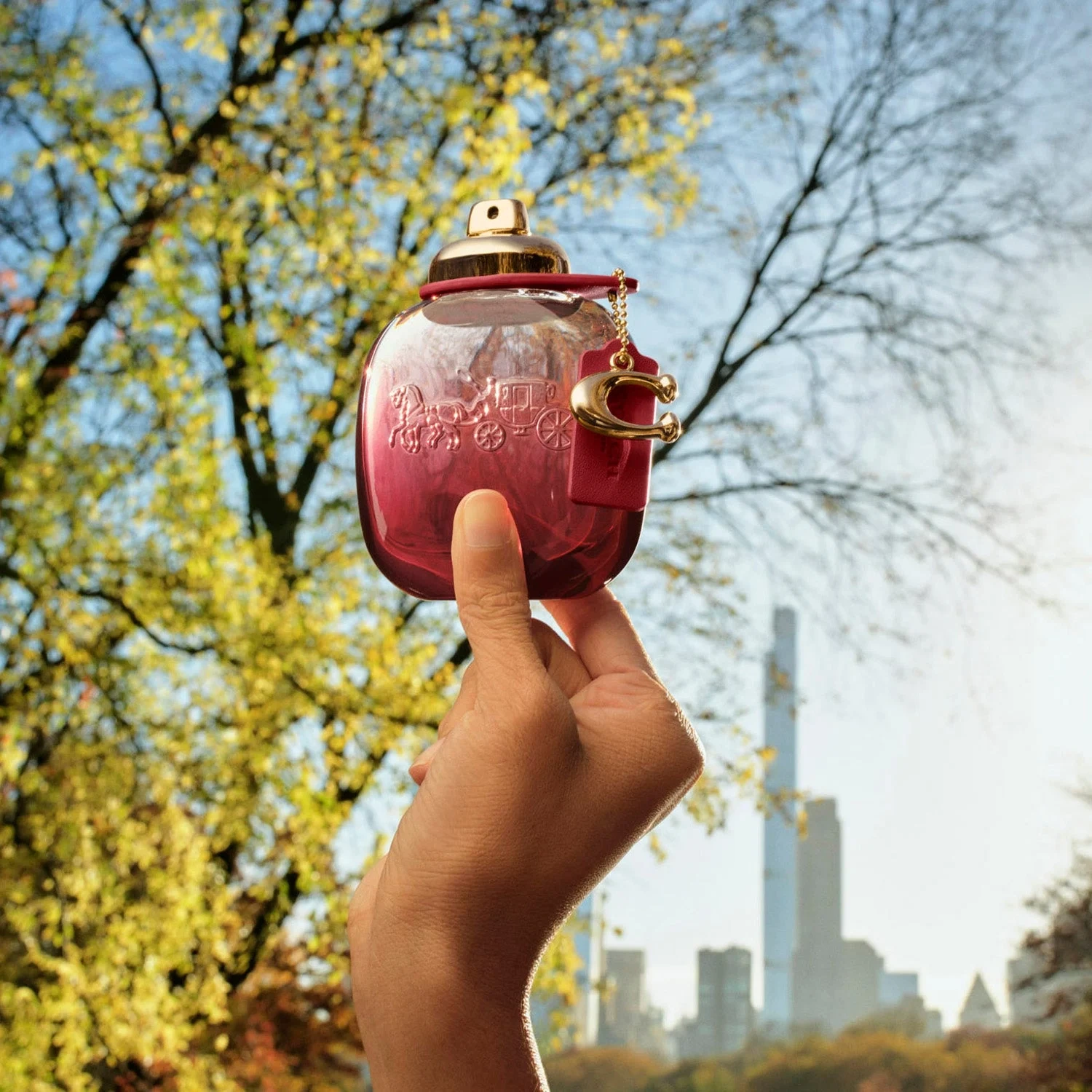 Coach Wild Rose Eau de Parfum 30 ml