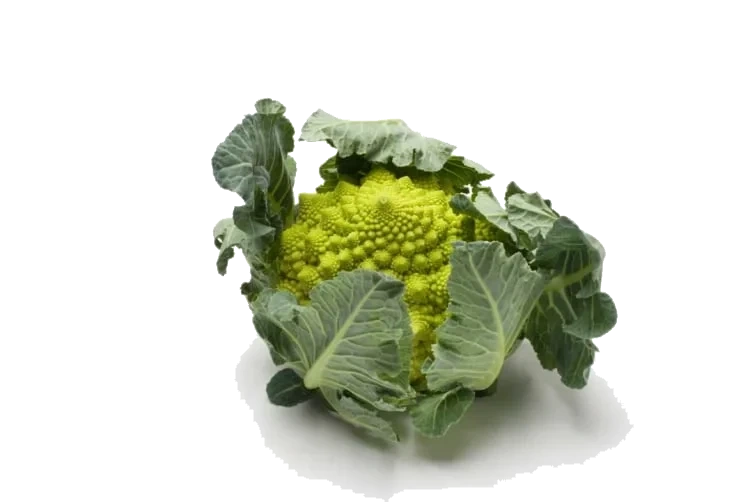 Romanesco stykk