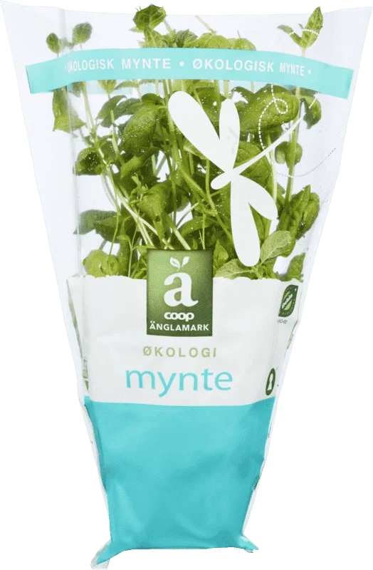 Änglamark Krydderurt 8cm Mynte
