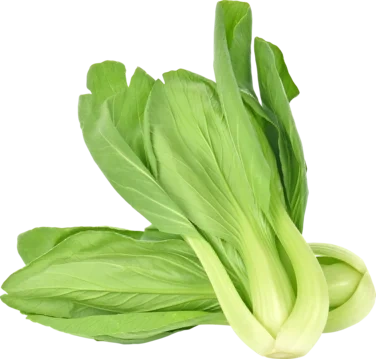 Shanghai Pakchoi 500g So Fresh