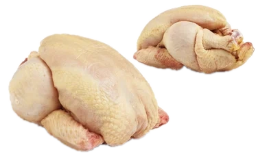 Vårkylling Gul Ca 500g St Sever