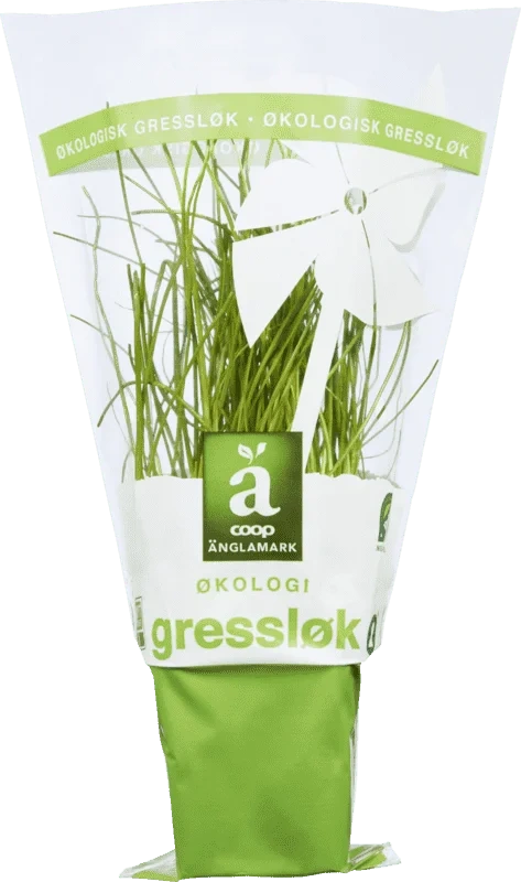 Änglamark Krydderurt 8cm Gressløk