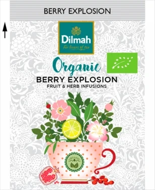 Berry Explosion, Økologisk & Etisk, 20 Stk, Dilmah