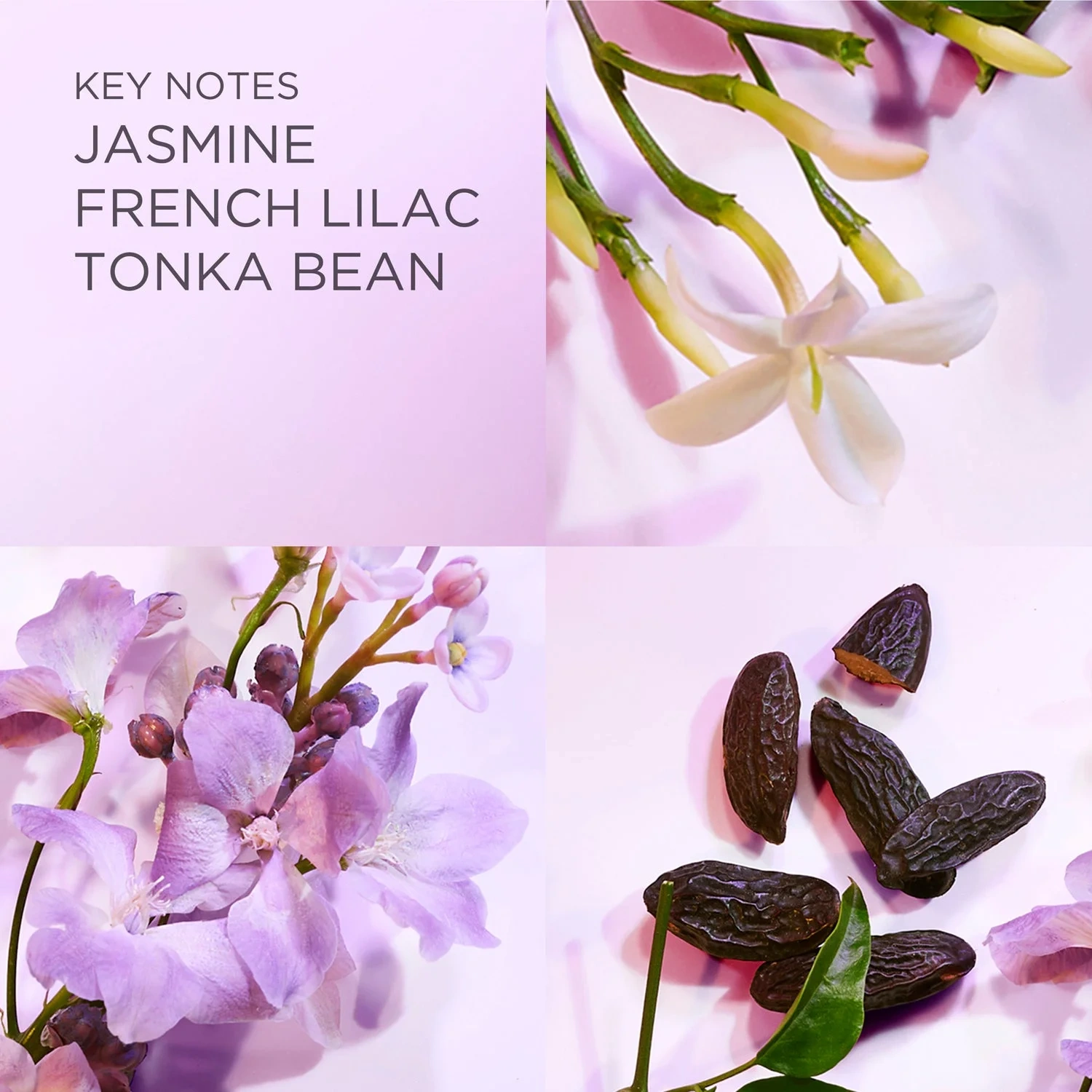Elizabeth Arden White Tea Lilac