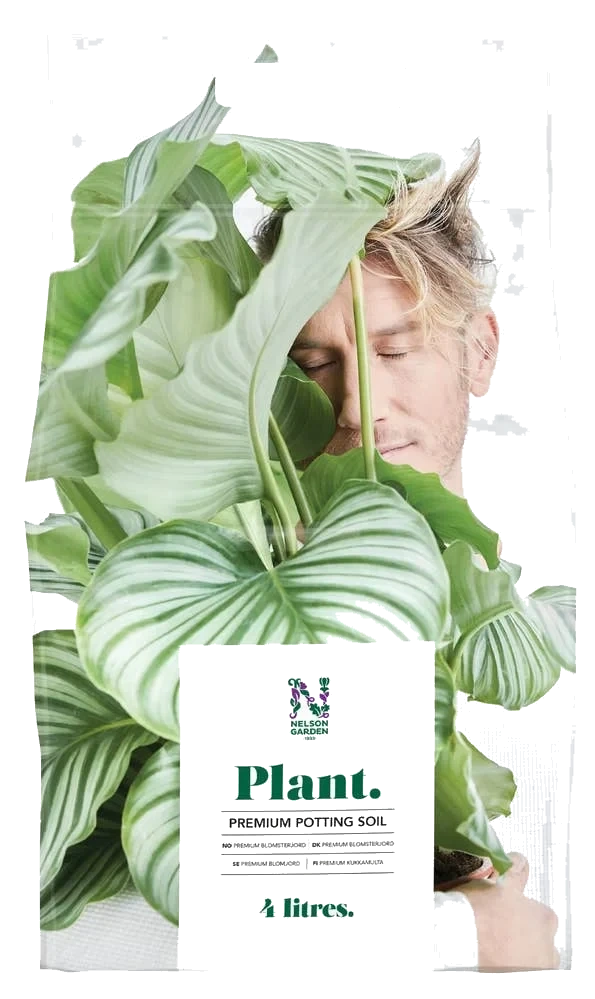 Premium Blomsterjord