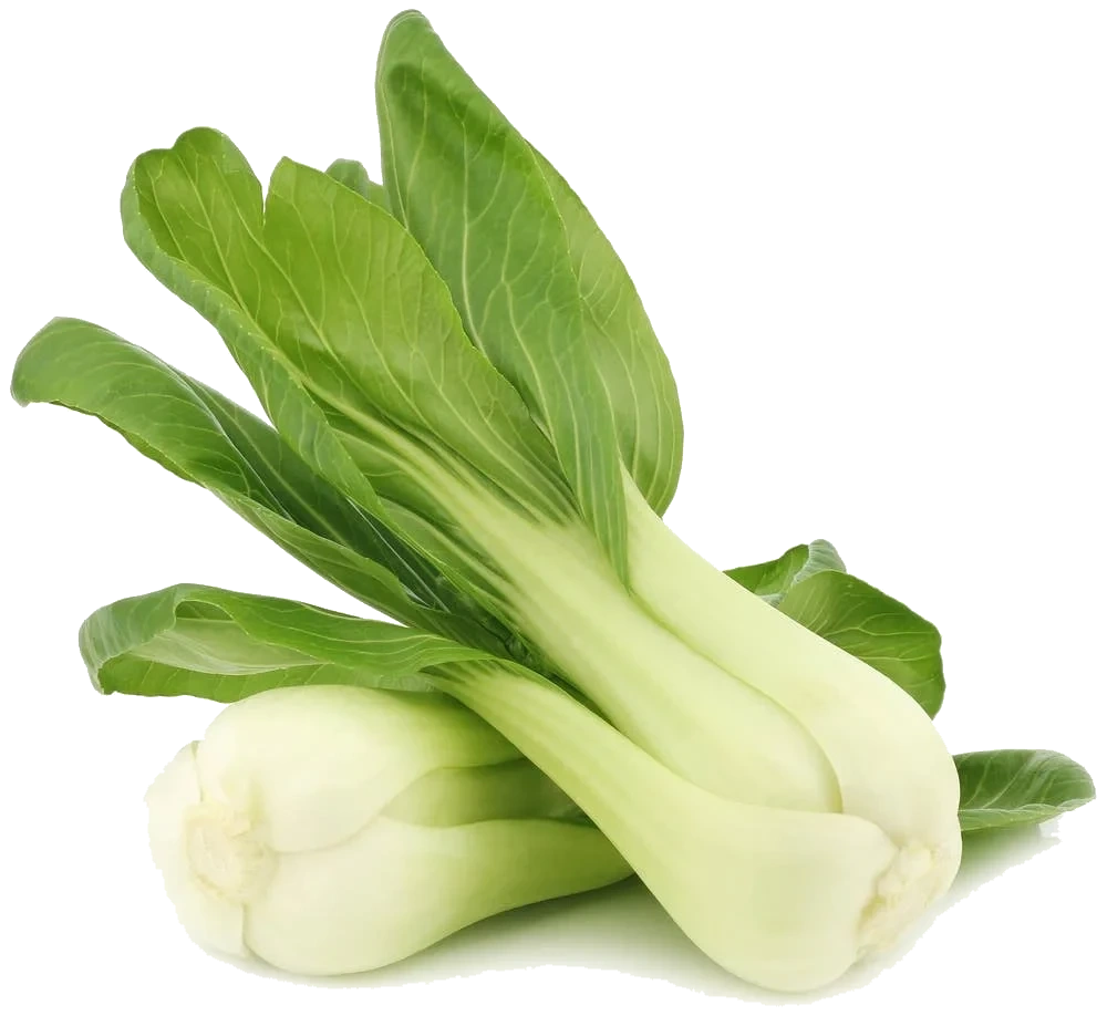 Mini Pak Choi
