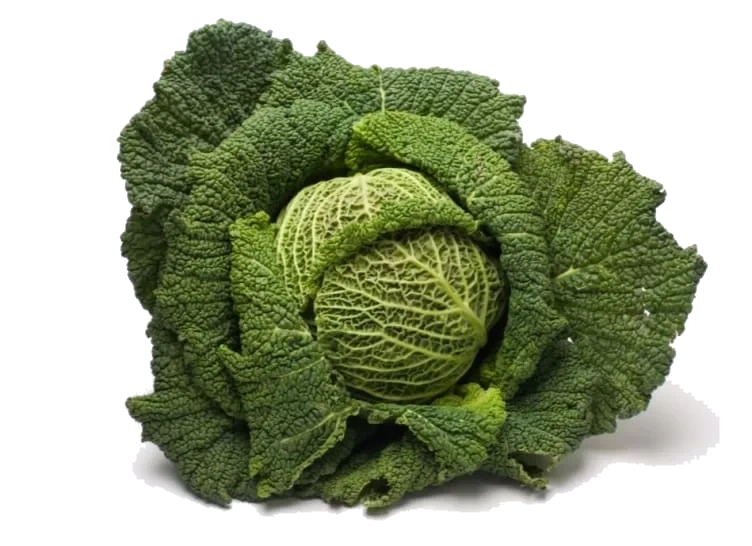 Savoykål 1kg