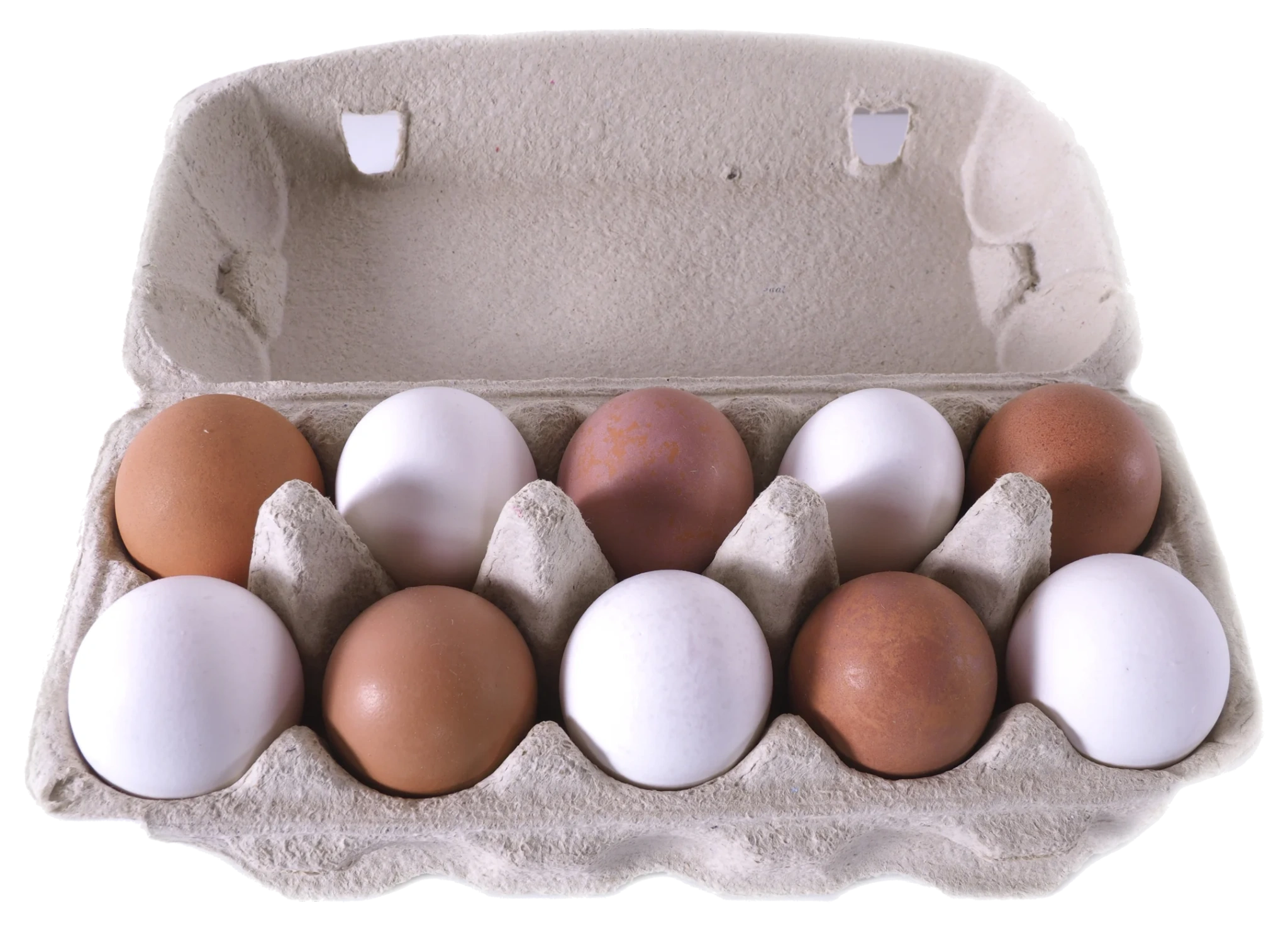 Bakketun Egg 10pk 673g