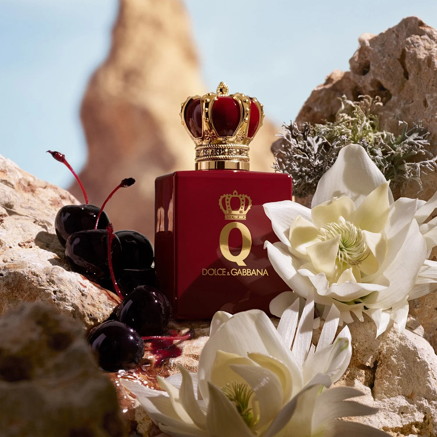 Dolce & Gabbana Q by Elixir