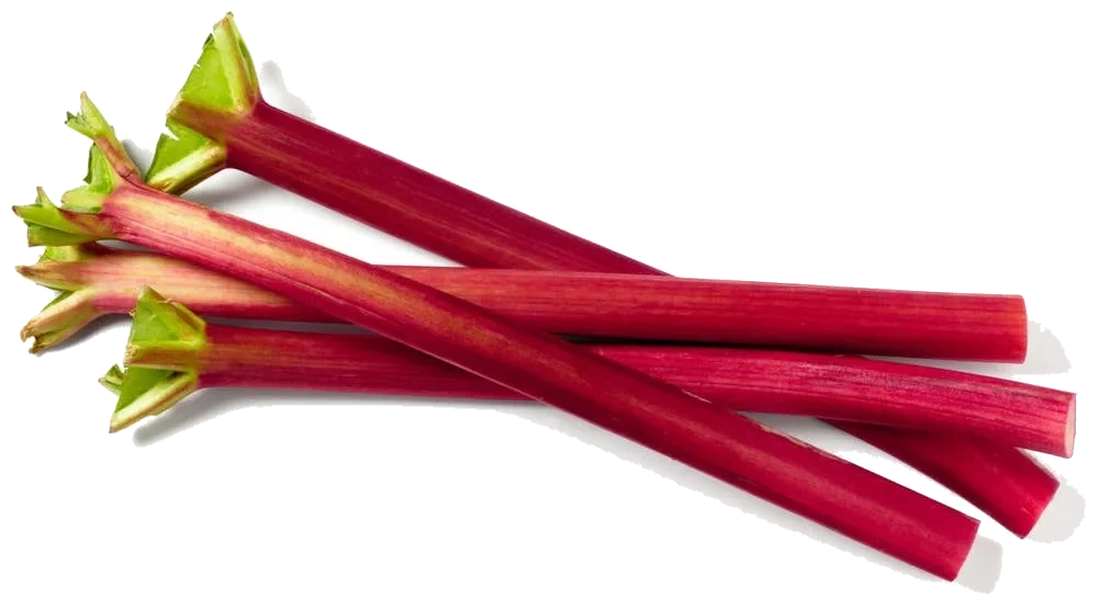 Fersk Rabarbra