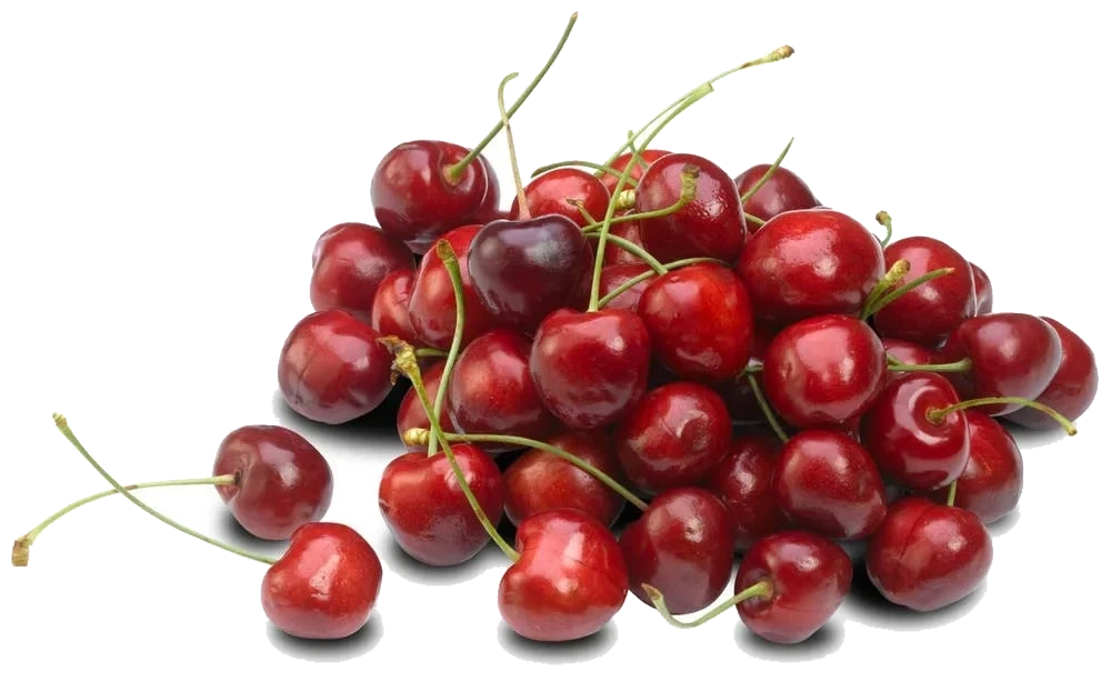 Moreller