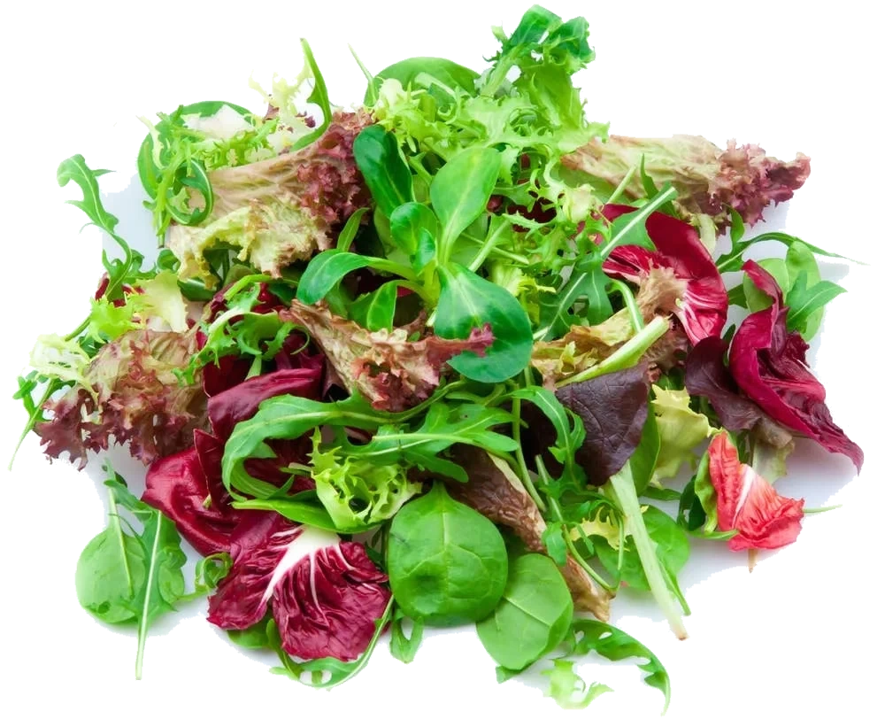 Salatblanding Premium Beger