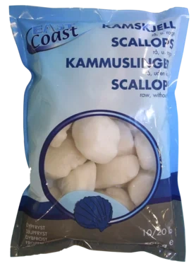 Kamskjell 10/20
