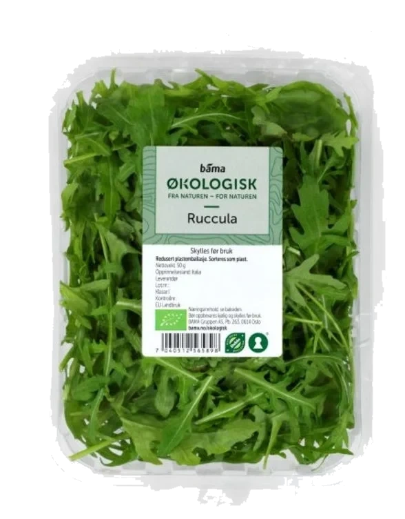 Ruccula Salat 50g Økologisk
