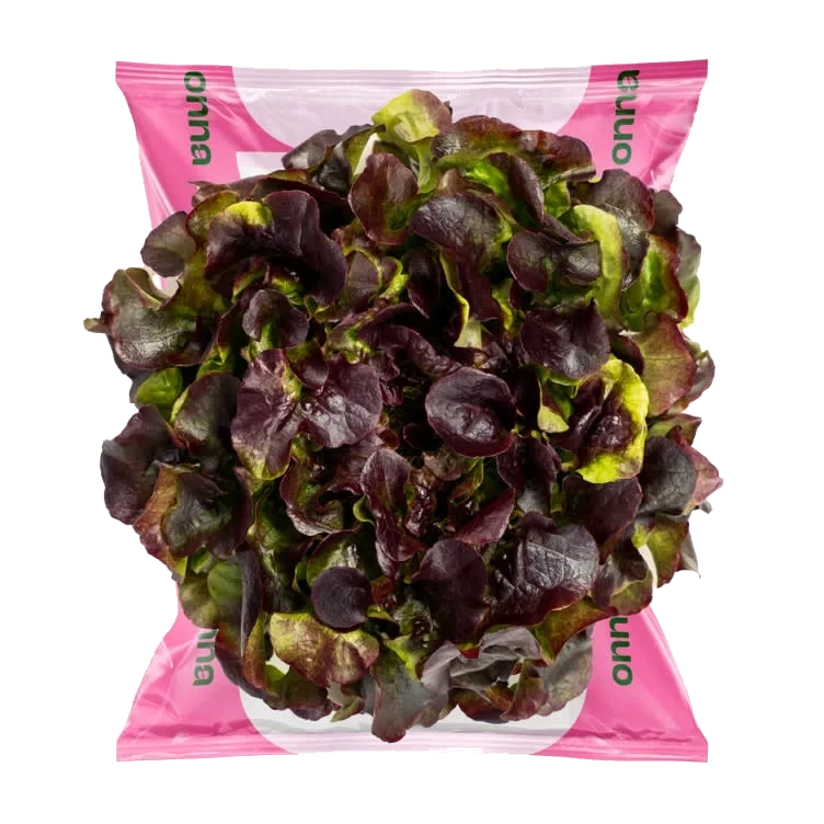 ONNA Sassy Rød Ekeblad Spiseklar Salat
