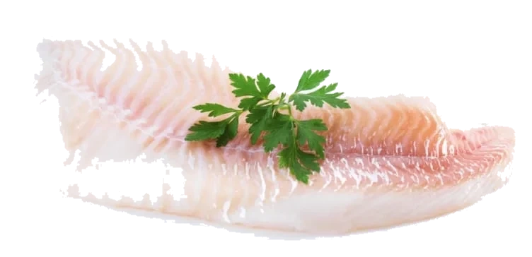 Torsk Filet u/Skinn Vill pr Kg