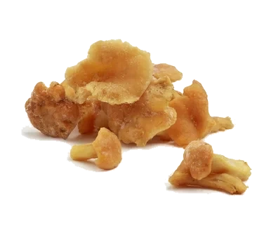 Kantarell Fryst 1kg Borde