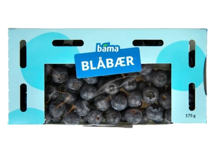 Blåbær 175g Papp