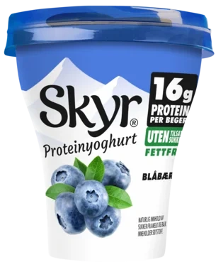 Skyr Blåbær 160g