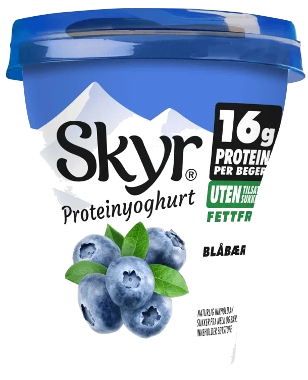 Skyr Blåbær 160g Q