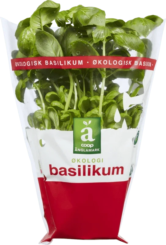Änglamark Krydderurt Basilikum 12cm