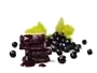Svartvinbärspuré